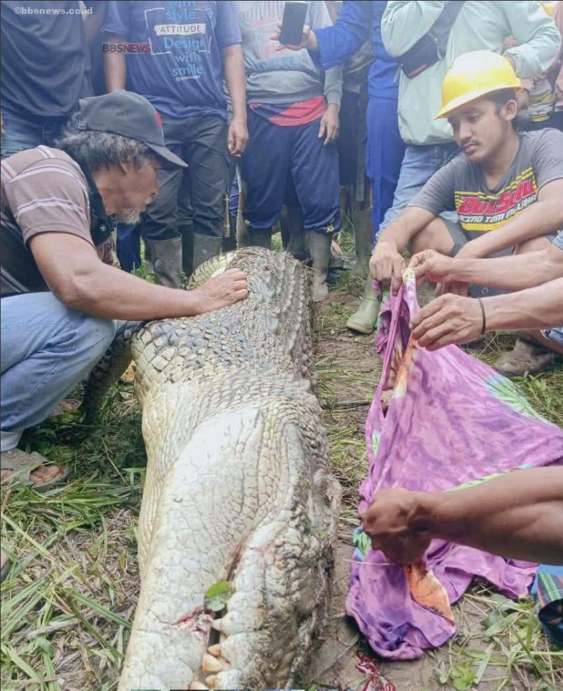 Pria di Kutai Timur Tewas di  Terkam Buaya